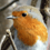 codingbird