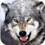 Coyote76