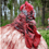 insomnia_rooster