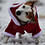 SurfDog