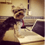 thecodingdog