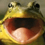 widemouthfrog1
